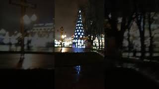 Новогодний Калининград | площадь Победы