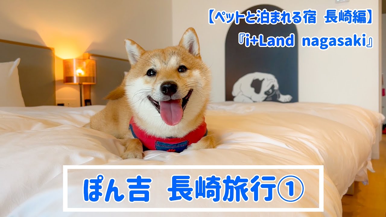 【豆柴】ペットと泊まれる宿「アイランド長崎」は犬にも飼い主にも大満足な場所でした！【＃57】