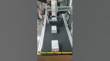 Flat carton sticker labeling machine Auto plane Label applicator system