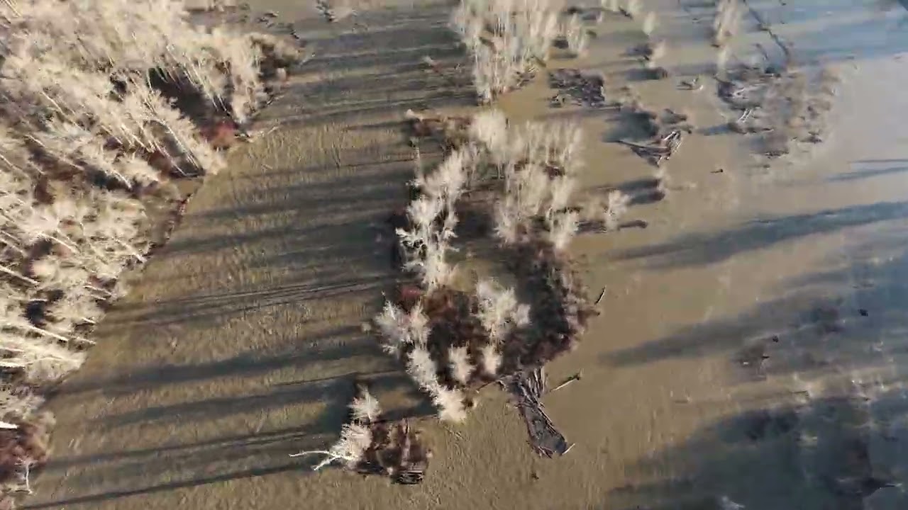 Lower Yakima Valley Flooding 2025