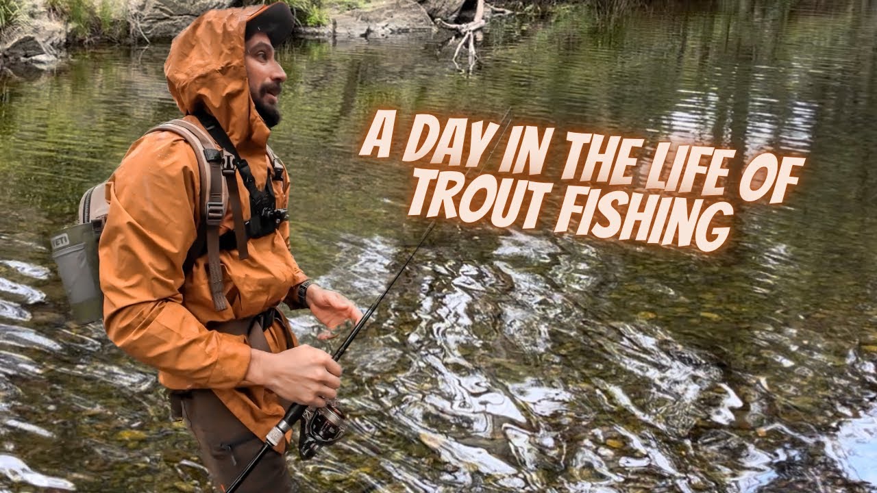 Trout fishing in torrential rain near SYDNEY NSW YouTube