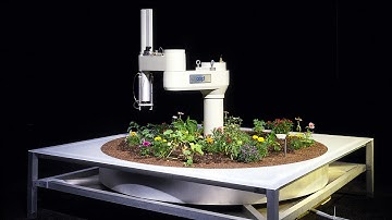 4 lessons from robots about being human - Ken Goldberg