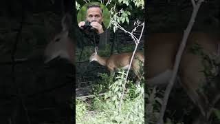 scouting deer. #deer #deerhunter #deerhunting #deerseason #deepsleep