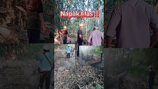 Makam Mbah Kuwu Cirebon Yang Aslinapaktilas leluhur shortsviral