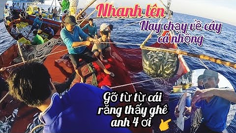 Vác Lưới Vừa Xong,Ngư Phủ Đua Nhau Câu Cá Nhồng Mỏi Tay | Đánh Cá 2025 - Tập 43 | Sóng Biển Hứa Đông