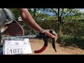 #CYCLESUSA -l- 👉690+ Youtube Family🚴-|- HOW TO CHANGE ROAD BIKE GEAR -|- MTB கியர் மாற்றுவது எப்படி
