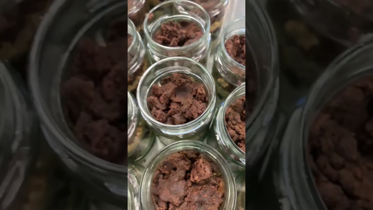 "Experience Pure Joy with Gelatou Unou's Choco Brownies!"