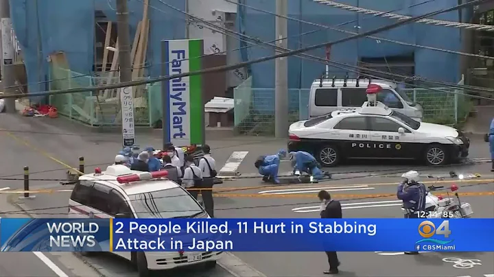 Japan Stabbing Attack Leaves 2 Dead, Multiple Injured