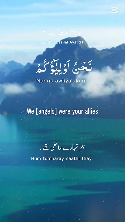 Surah Fussilat beautiful recitation