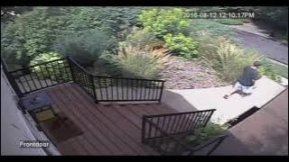Package thief caught on surveillance cam