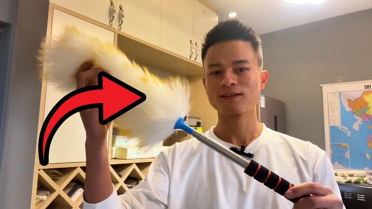 Lambswool Extendable Duster | POV | Would You Buy It?