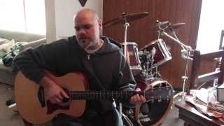 The Kinks - "Apeman" acoustic cover by Don King