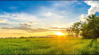 Anno Domini Beats  Like That