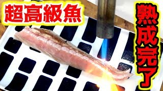 高級魚クエを5日間熟成させて食べてみた！