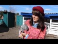 Сільські мандри Гостинна Дубов язівка 