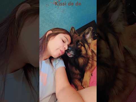 German shepherd kisses