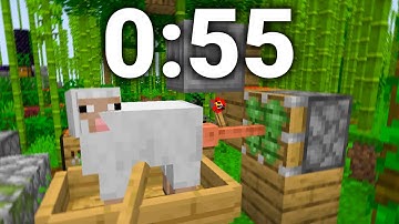 Minecraft Sheep F*cker Speedrun FWR (0:55)