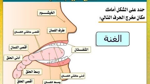كتاب .. التجويد وعلوم القرآن | عبد البديع صقر