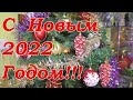 С Новым 2022 Годом! Новогодний стол/ Happy New Year 2022!!!