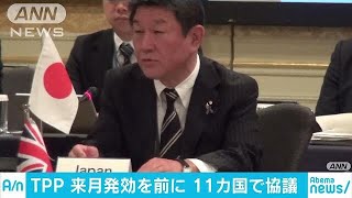 TPP11が都内で首席交渉官会合　来月の発効前に協議(18/11/21)