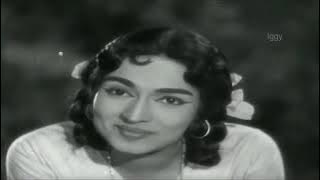 Athappoo Chithirapoo - Kaattupookkal