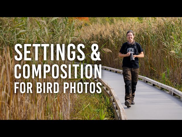 Photographer - SoundCasting 426