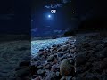 which one feels you better which one you pick...? #aurora #relaxing #vibes #aestheic #nightview #sea