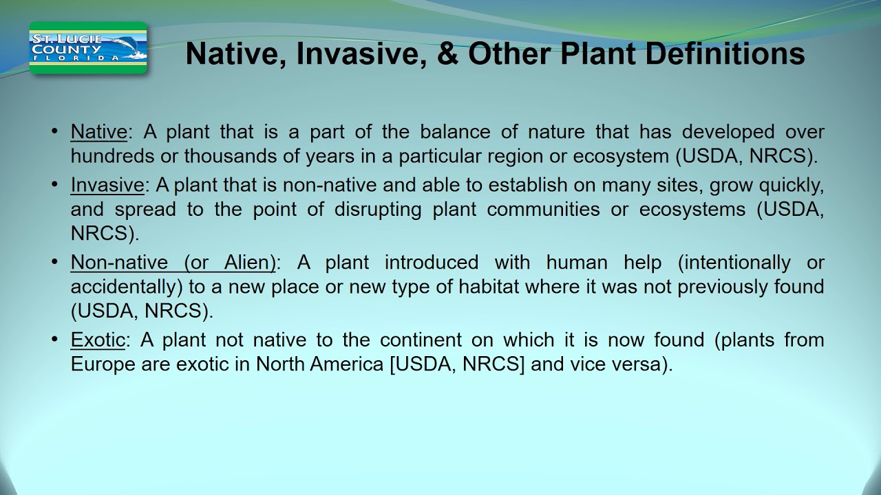 St. Lucie County: What are invasive plants?