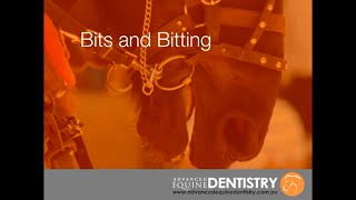 Bits And Bitting