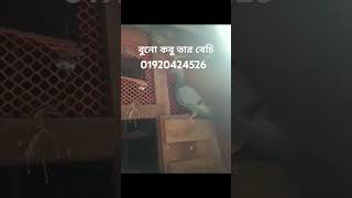 ২ সপটমবর, ২০২৫