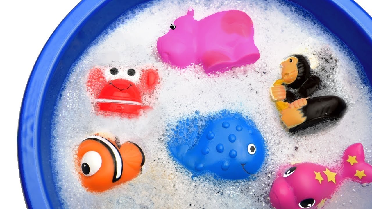 Learn Sea Animal And Wild Zoo Animals Names Education Video Toys For learn-sea-animal-and-wild-zoo-animals-names-education-video-toys-for
