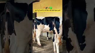 Subscribe Me 🔥✅💯|| #business #shorts #viralshorts