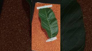 Leave Art Beautiful 😍