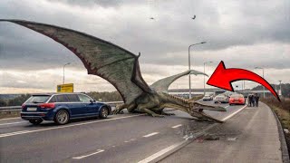 10 Dragones Captados en Cámara Y Vistos En La Vida Real