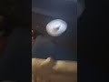 jam to i man