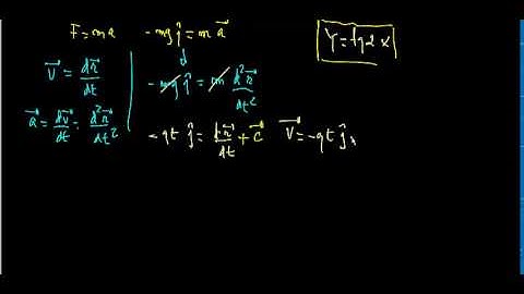 O problema do Macaco ( video 1 )