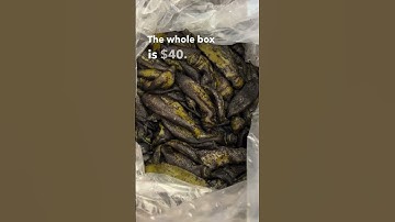 Hatch Chilies from New Mexico - Mild, Hot, & Very Hot - $40 Buy