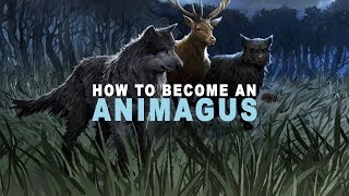 How to Become an Animagus - Harry Potter Lore Explained