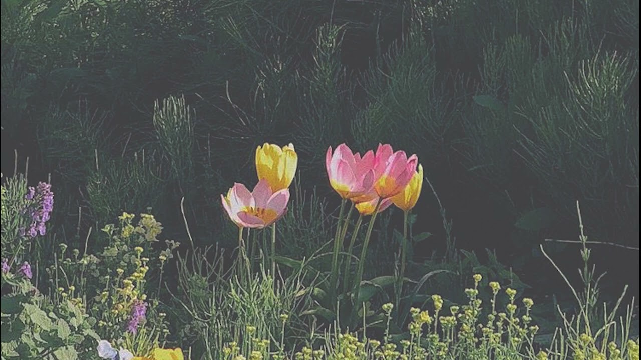 Музыка для гладкого фортепиано & Уютные романтические звуки, Инструментальная фэнтези Музыкальная