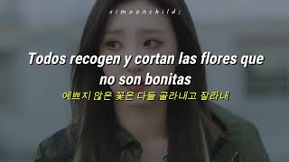 H1-KEY (하이키) - 'Rose Blossom (건물 사이에 피어난 장미)' || [Traducida al español | Hangul Lyrics]
