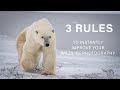 The Three MOST IMPORTANT Rules to INSTANTLY Improve Your Wildlife Photography.