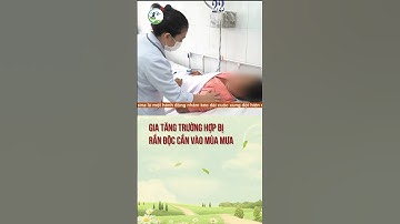 Gia tăng trường hợp bị rắn độc cắn vào mùa mưa