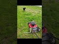 First Time Starting a Troy Built Briggs & Stratton 140cc Lawn Mower