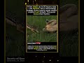 The Smallest Bluff in the Savanna #viral #animals #wildlife #animalshorts #lion #animalfacts
