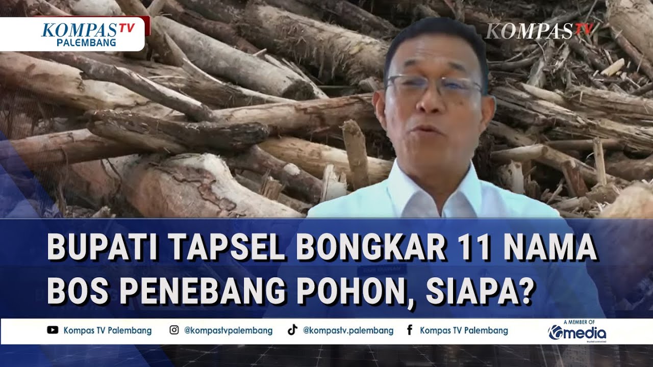 Blak-Blakan! Bupati Tapsel Bongkar 11 Nama Bos Penebang Pohon, Siapa Saja?