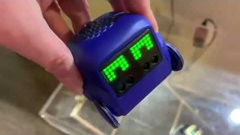 Vector Meets Boxer: Or How I Learned To Stop Worrying And Love Chaos