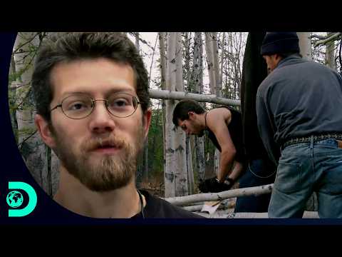 Unexpected tree issue complicates Brown cabin build | Alaskan Bush People | Discovery