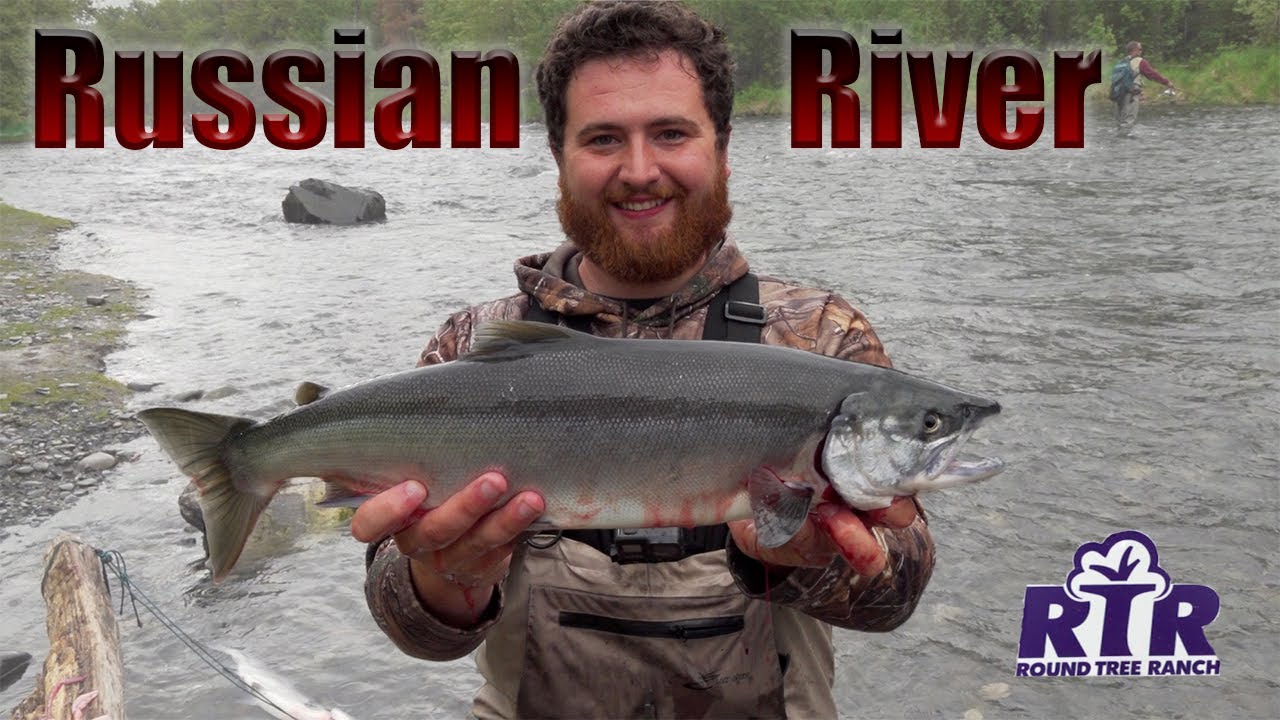 Combat Fishing Russian River Alaska Sockeye Salmon YouTube