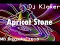 Dj Kloxer Apricot Stone Mix Reggaeton 2010.wmv