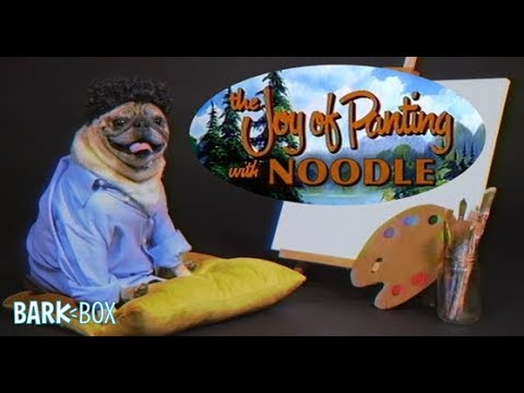Video: Care Noodle esti?